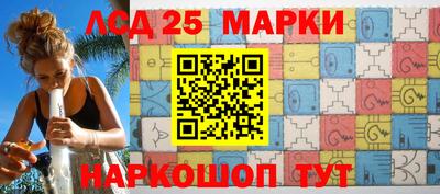 МДПВ Кингисепп