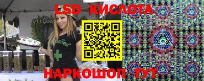 МДПВ Кингисепп