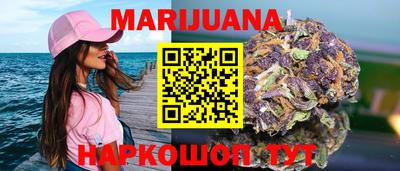 МДПВ Кингисепп