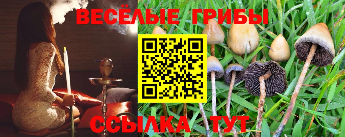 Псилоцибиновые грибы Cubensis  Вход с VPN  Псилоцибиновые грибы Magic Shrooms  Вольск 